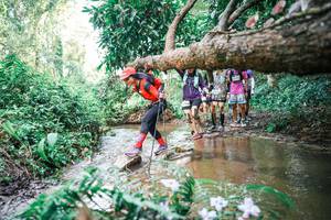 BIB: 
                            <button type="button" onclick="openModal(25517171)" class="btn btn-primary btn-sm float-right btn-popup" data-toggle="modal" data-target=".modal-high-quality">
                        <i class="fas fa-shopping-cart"></i> Add to Cart
                    </button>
                                            <button type="button" onclick="isThisMe(25517171, true)" class="btn btn-success btn-sm float-right btn-popup btn-isme hidden" data-toggle="tooltip" data-placement="bottom" title="นี่คือรูปของคุณใช่ไหม คลิกที่นี่เพื่อเอาเข้าอัลบั้ม">
                        <i class="fas fa-plus"></i> Add to album
                    </button>
                    <button type="button" onclick="isThisMe(25517171, false)" class="btn btn-warning btn-sm float-right btn-popup btn-isnotme hidden">
                        <i class="fas fa-ban"></i> Remove from album
                    </button>